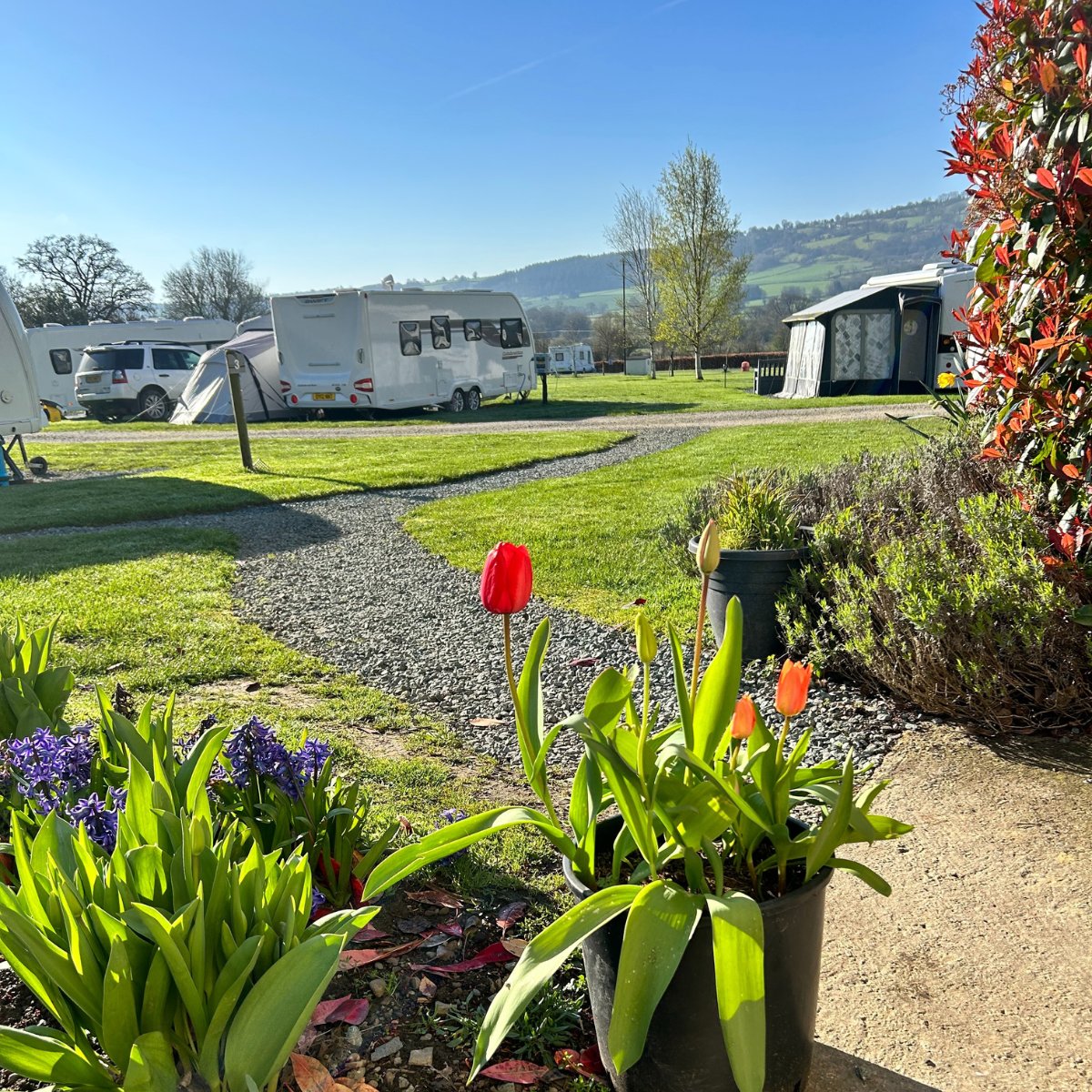 🥳 New information page:
MAY BANK HOLIDAYS AVAILABILITY

Would you like to get away to a peaceful adult only park for any of the 3 #bankholiday weekends in May?  See what's available on our new page:
👇
tranquilparks.co.uk/late-availabil…

The info will keep changing as we keep it updated...