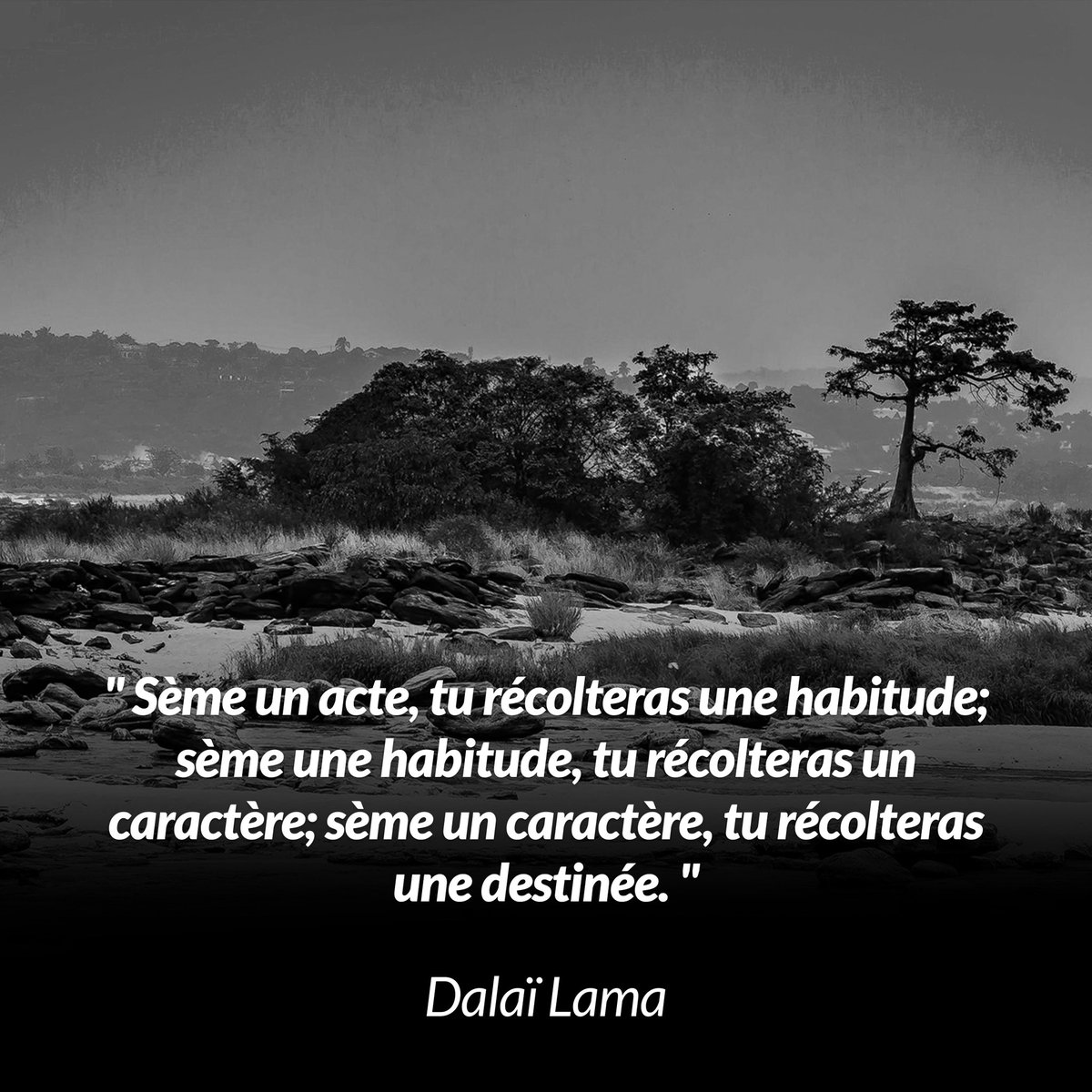 InsideCongo242's tweet photo. https://t.co/gJDxM63vnc