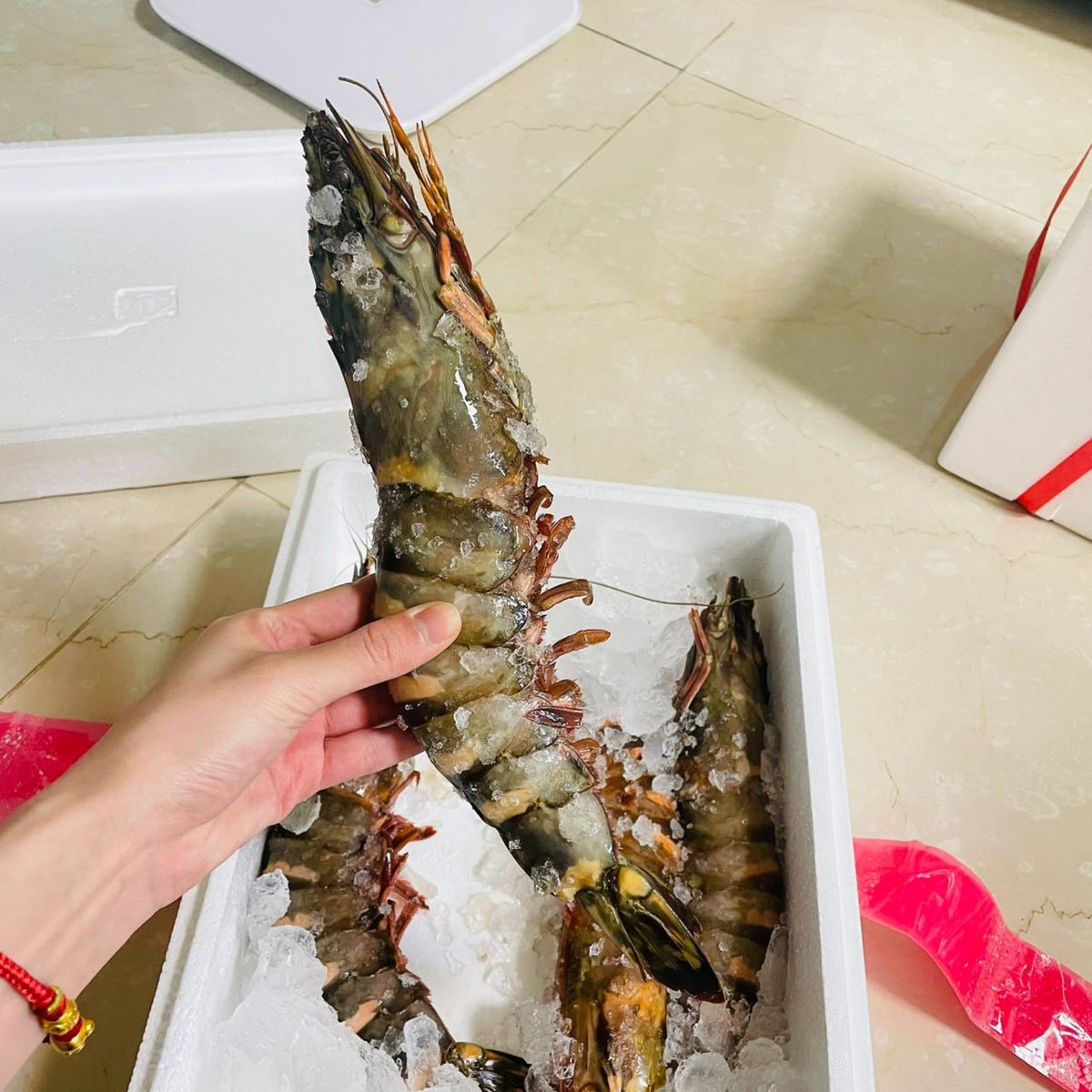 THENESTsong's tweet photo. #夕食の時間です。
料理の準備を始めました。╰(*°▽°*)╯ https://t.co/RAYVdKzsOv