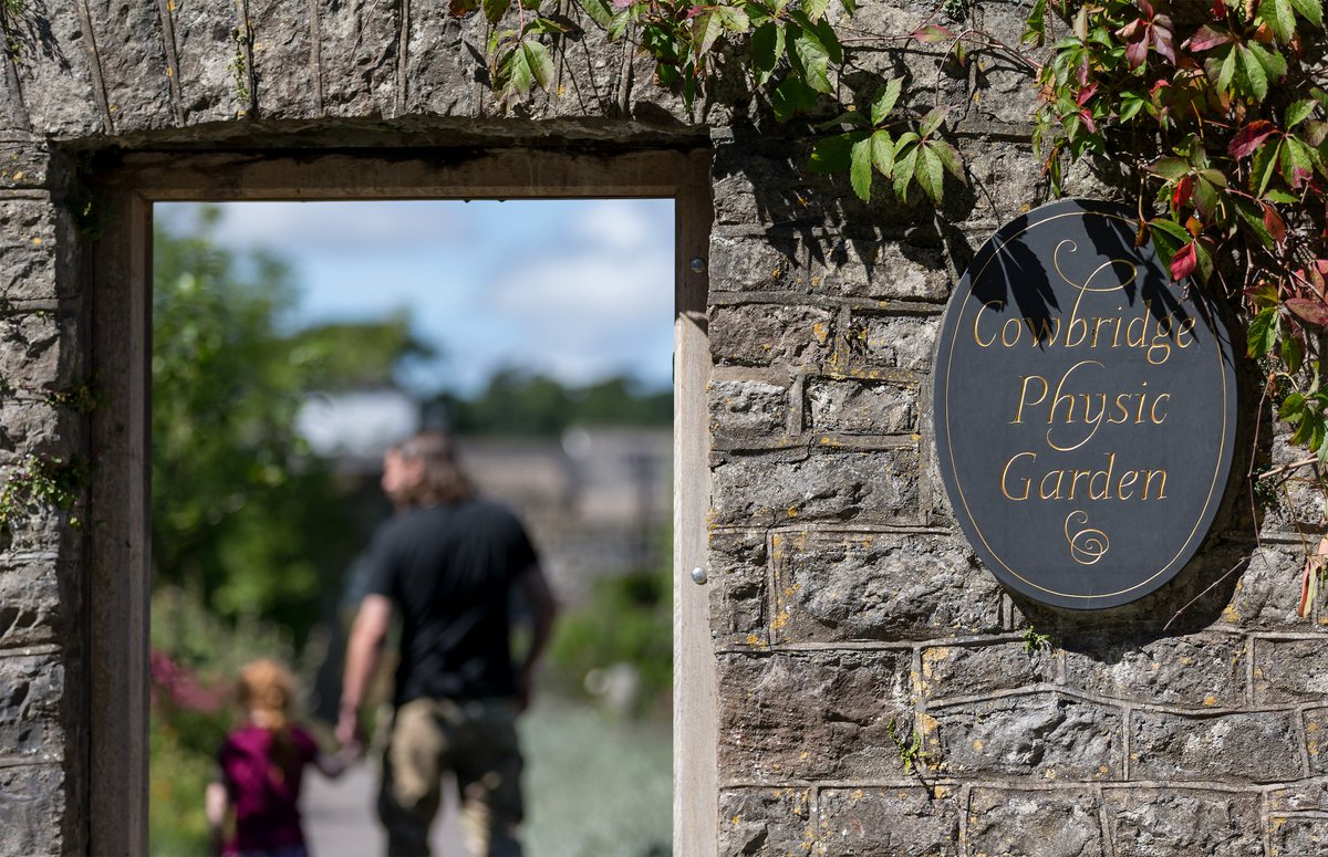 Gerddi i ymweld â nhw ar draws De Cymru yr haf hwn

southernwales.com/en/groups/gard…