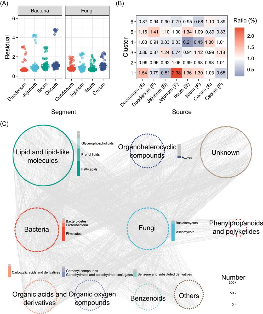 Quantitative microbiome profiling reveals the developmental trajectory of the chicken gut microbiota and its connection to host metabolism #Bioinformatics #gutmicrobime #metabolism #metagenomics #guthealth #development @wileymicrobio @WileyEcolEvol onlinelibrary.wiley.com/doi/full/10.10…