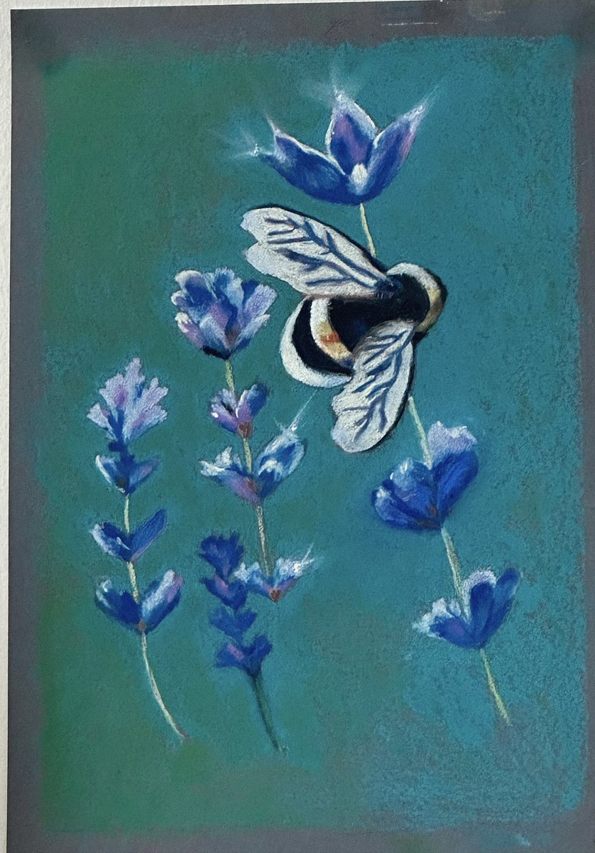 turkislamsanat's tweet photo. Soft pastel atölyesi öğrencilerimizin çalışmaları #tisem #art
💙 https://t.co/1NCrdoCohj