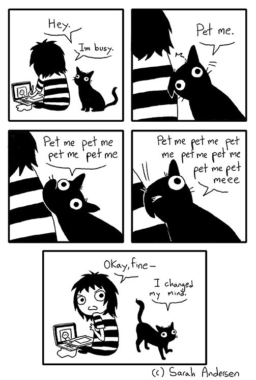 womensart1's tweet photo. Sarah Andersen, contemporary US cartoonist and illustrator (who obviously knows cats....)  #WomensArt https://t.co/72Y5S7jnKJ