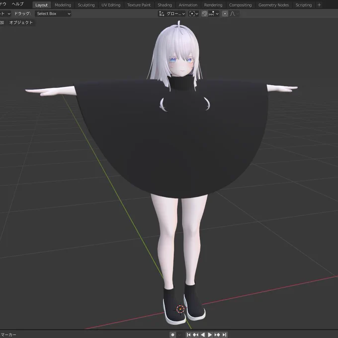 上手く行くか分からないCloth予定ポンチョ 