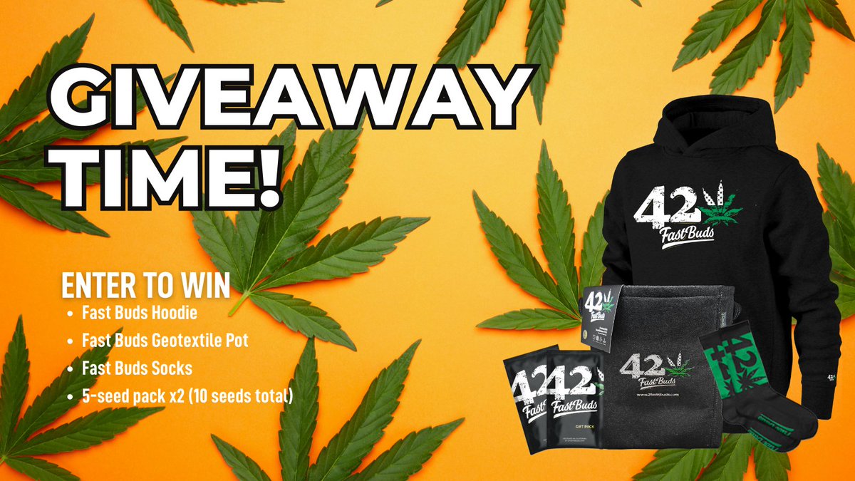 🚨 GIVEAWAY ALERT 🚨 3 winners
We're starting a giveaway with the most highly demanded Fast Buds goodies! 
🎁 Win a hoodie, socks, a pot, and 10 seeds. 
To enter:
-  Follow <a href="/Fast_Buds/">Fast Buds</a> 
- Tag a friend
- Retweet. 
Good luck! 🤞