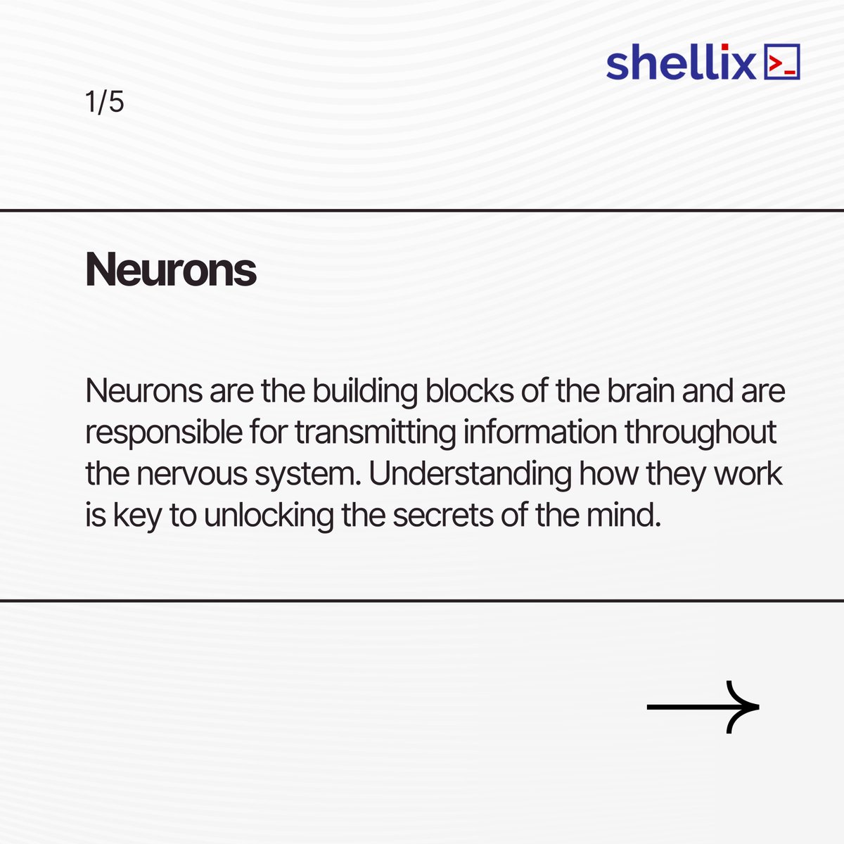 ShellixSmart's tweet image. The brain is a complex and fascinating organ, and at Shellix, we&apos;re passionate about exploring its inner workings. Join us on a journey to unlock the mysteries of consciousness and the mind.🧠
 #neuroscience #brain #consciousness #mind #meditation #AI #science #research #Shellix