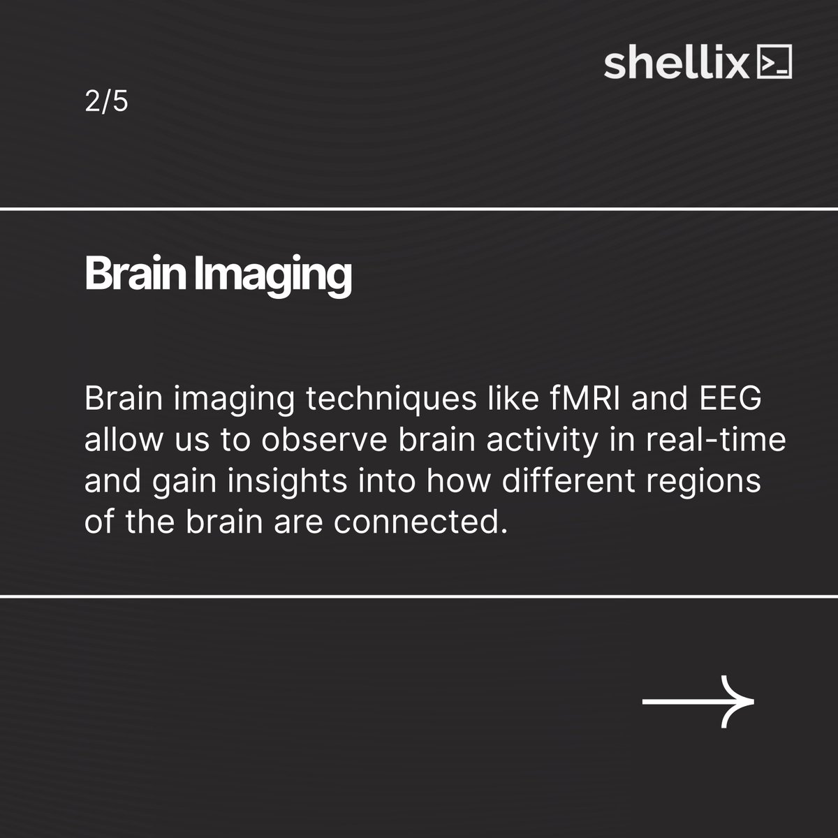 ShellixSmart's tweet image. The brain is a complex and fascinating organ, and at Shellix, we&apos;re passionate about exploring its inner workings. Join us on a journey to unlock the mysteries of consciousness and the mind.🧠
 #neuroscience #brain #consciousness #mind #meditation #AI #science #research #Shellix