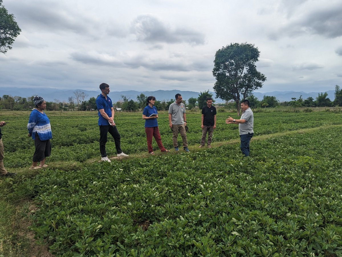 PhTixier's tweet photo. Excellent visit by EU representatives of the diversified cropping systems designed in the #ASSETProject in #Laos in the province of Xieng Khouang. A fine example of #agroecology carried out in #dp_asea @inTeR_dPs by @Cirad with Pafo, Dafo, Dalam. https://t.co/e0G5Wgr7ea