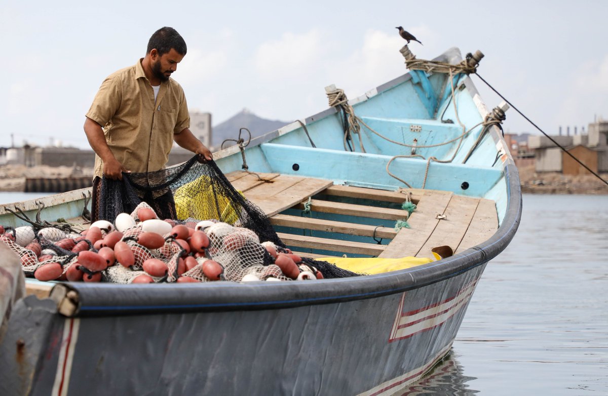 UNDPYemen's tweet photo. 🎉great news! @UNDP's #RELACC project wins 2023 Evaluation Excellence Award for promoting #genderequality & sustainable development in Yemen!
Let's celebrate our efforts in empowering 🧕& rebuilding livelihoods #sustainably!
Thanks to @UNDP_Evaluation
https://t.co/uxlhJ4EtUC https://t.co/m50QDUITDP