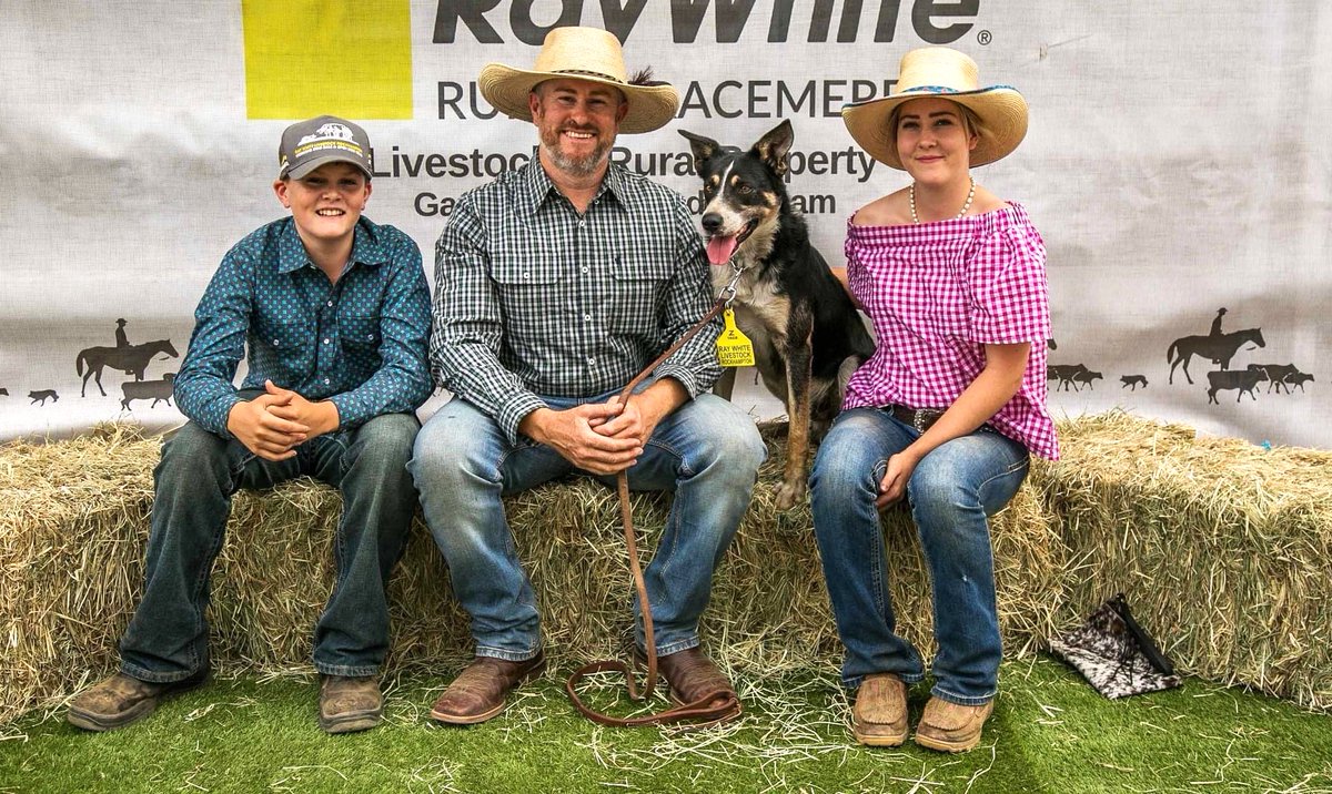 SusannaFreymark's tweet image. How much would you pay for a good working dog? Sid, the border collie sold for $33,000 and is headed to central Queensland.
indynr.com/how-much-is-th…