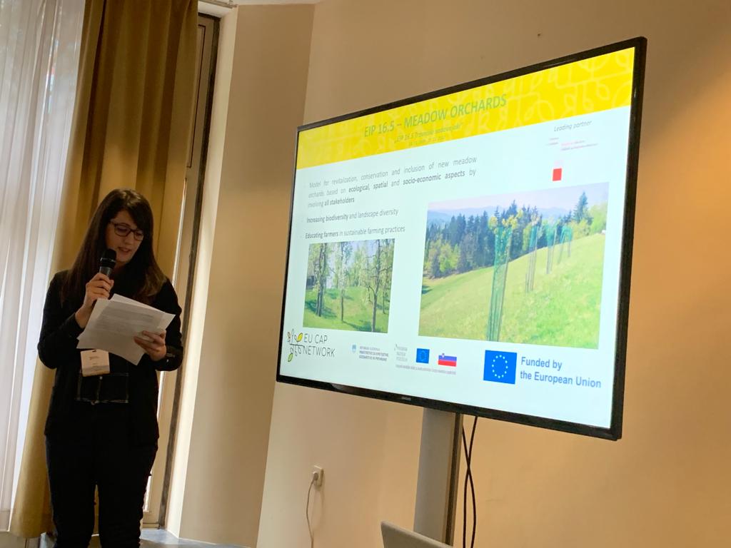 eucapnetwork's tweet photo. During the #FocusGroup #biodiversity through #HDLF, the Slovenian Ministry of Agriculture, Forestry and Food @Mreza_SI_NRN presents implementation of #OperationalGroups in Slovenia, followed by two Slovenian farmers telling how Operational Groups helped them to work with HDLF. https://t.co/GcPiJI2m79