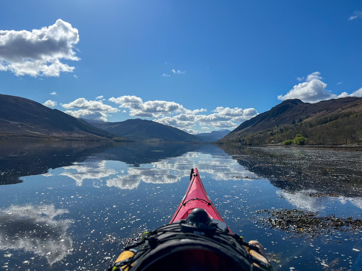 Nick Ray tweet media