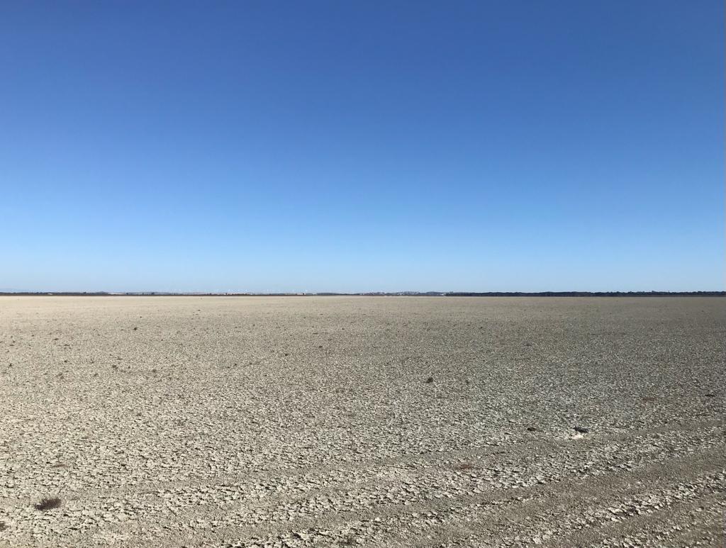 🧵1/2 This is Spain's iconic #Donana national park. Where there should be beautiful wetlands 🦩  there's desert 😱

Drought and water extraction mean it's dying of thirst. 👇