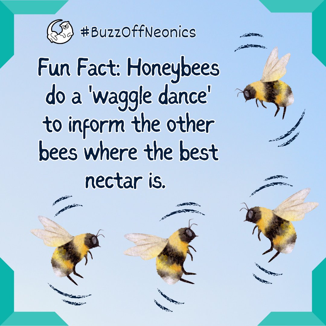 GRActivists's tweet photo. Who else wants to see the waggle dance!? ποΈποΈποΈποΈ
Share your bee facts below! π
Join us on May 1st for the launch of #BuzzOffNeonics
#bees #FunFact #FunFacts #Friday #FridayVibes #fridaymorning #EnvironmentalJustice #Environment #nature https://t.co/JLHLONbRBF