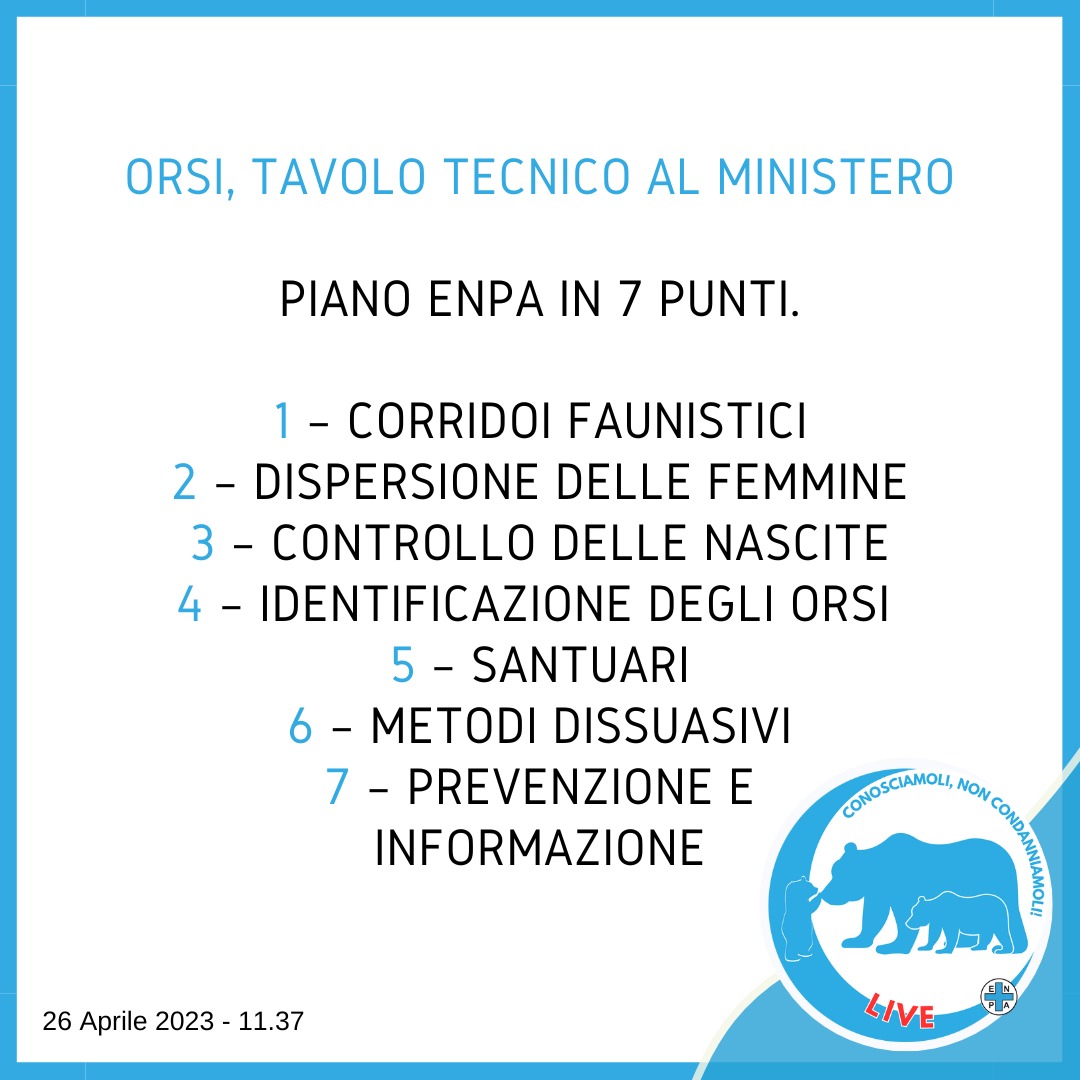 #orso   #orsi #jj4 Il piano Enpa in 7 punti
