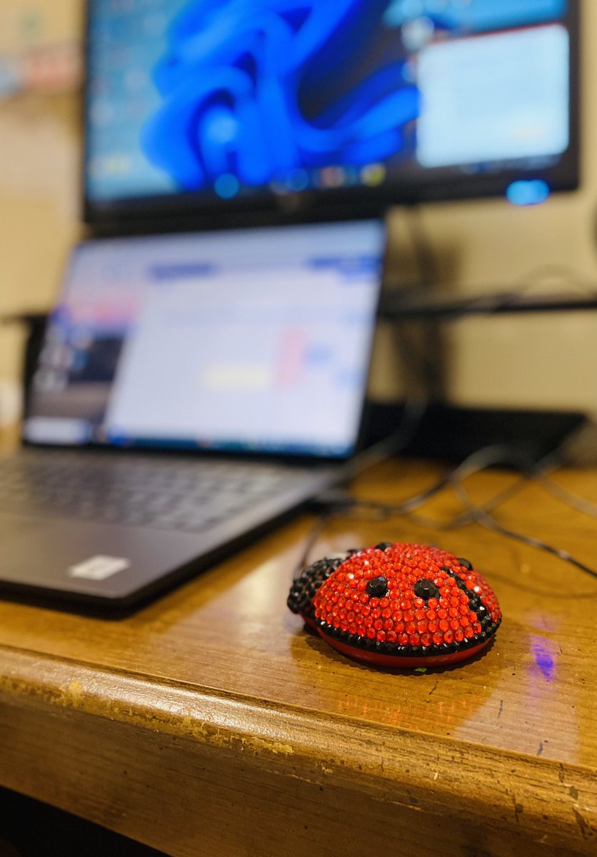 betacellgirl's tweet photo. Highly recommend using a diamanté-ladybird mouse to help you face opening your grant proposal document one. More. Time. 😩 #NHMRC #IdeasIdeas @iMOD_lab @FlindersHMRI https://t.co/30QQqaqoax