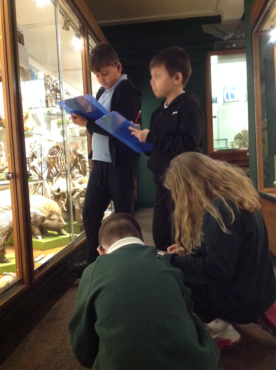 ASfD_HSS's tweet photo. Curious minds captured lots of information during our P4-6 trip to the Zoology building on Monday. We also enjoyed a well deserved lunch and burned off some energy at Seaton Park.  
@UoABiodiversity thank you for a wonderful experience
#fun #learning #animalhabitats #active https://t.co/pA04yaPbAB