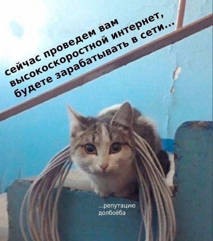 Silver_Chiffa's tweet image. 