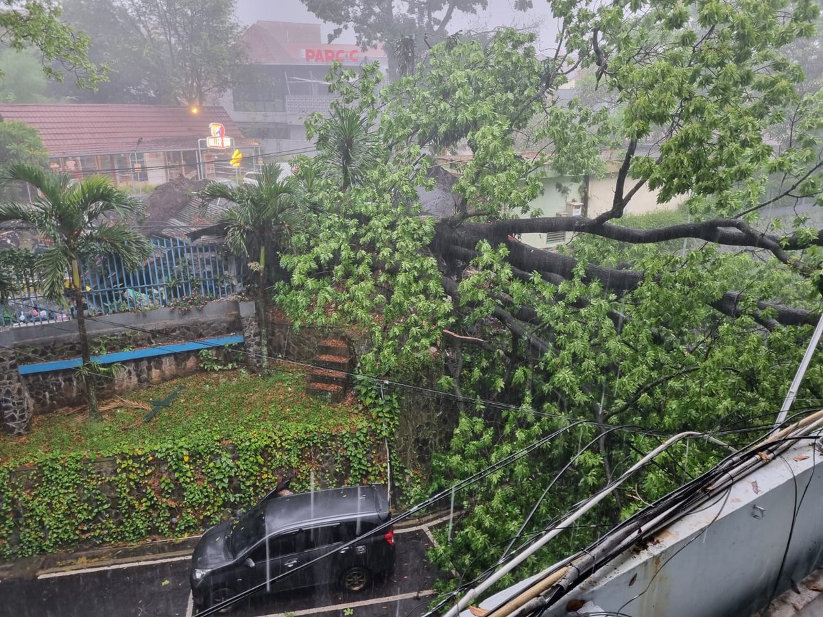 febycu's tweet photo. @PRFMnews Ada pohon tumbang min di jl. Kidang Pananjung samping kantor Bintek SDA Kementerian PUPR  (ex Pusair) https://t.co/u5DtjumqcB