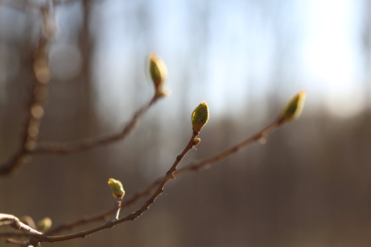 SolBrasseur's tweet photo. 📍WP5 French study site of St Christol
🗓️24 april 2023
@holisoils @imbe_marseille 

Spring is here !
(@MenivalClaire is not a good reference to estimate temperature, she is always cold) https://t.co/6VHRN2SWKC