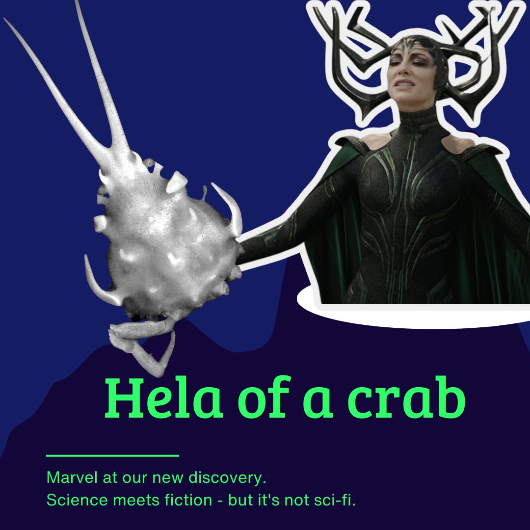 NUS Tropical Marine Science Institute tweet media