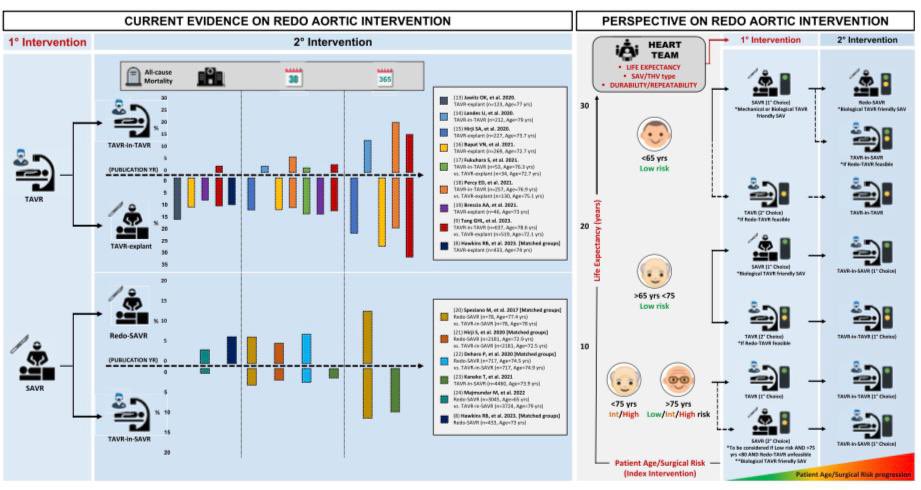 Just out @JACCJournals @JACCINT our editorial @G_Tarantini01 @tommaso_fabris on EXPLANTorREDO-TAVR Registry & STS database Registry 🔎redo AV interventions 🎯Current evidence and perspective on redo aortic permutations jacc.org/doi/10.1016/j.…