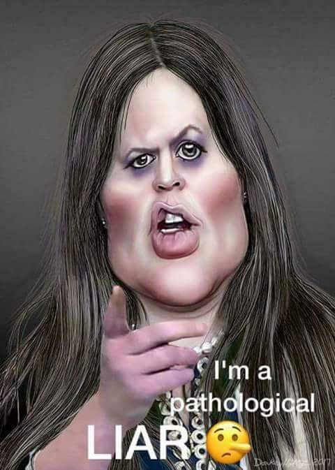 Cavanaugh_X's tweet photo. @FoxNews @SarahHuckabee Tell @SarahHuckabee to start using the New Tag-Name the Republican Federal Judge said about Trump and Everyone that Likes, Supports him are now Considered as American Terrorists, are a Clear, Present Danger to Democracy,Life, Rule of Law within America, shouldn't be an Office https://t.co/jNycurSzWG
