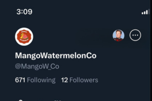 MangoW_Co tweet picture
