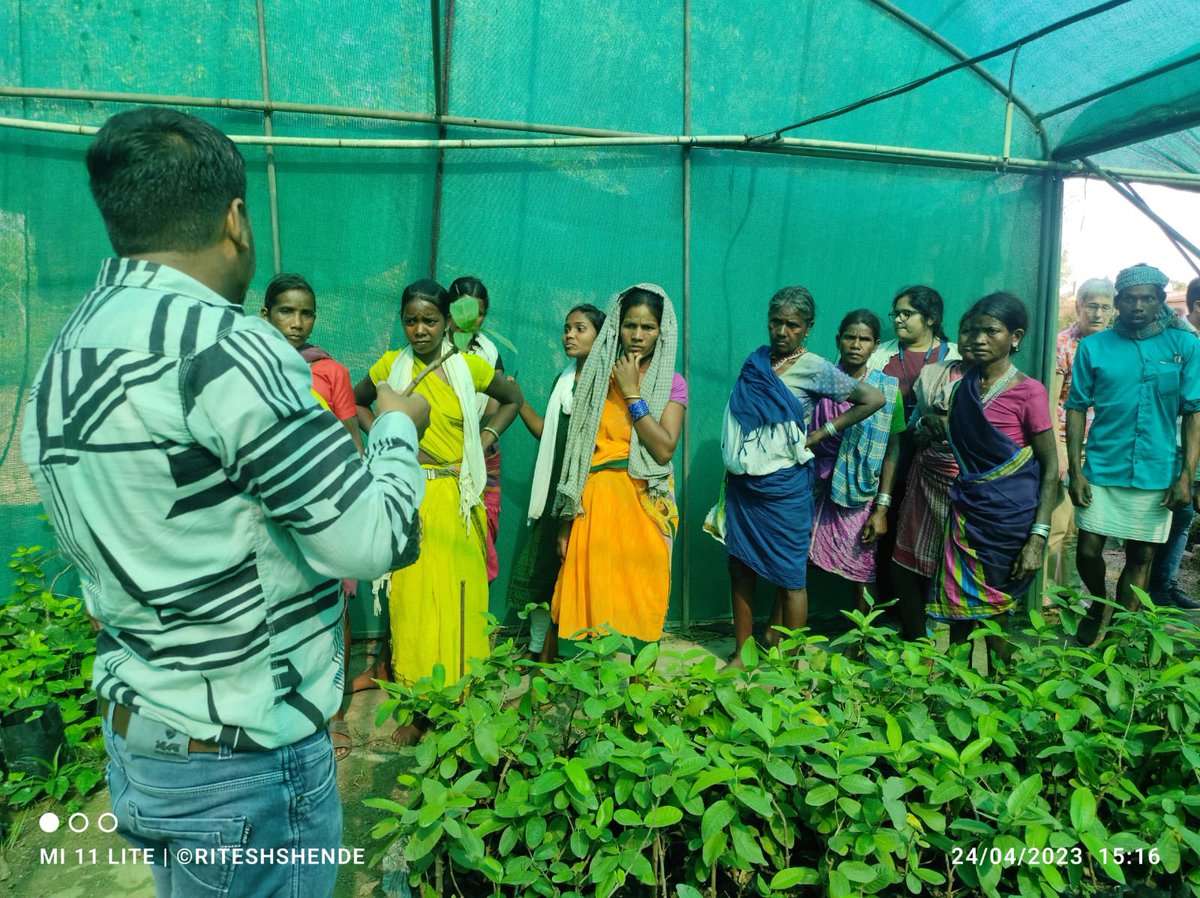 SamerthTrust's tweet photo. Our Women Self-Help Group (SHG) members from Kabirdham landscape recently went on an exposure visit to the Indira Gandhi Krishi Vishwavidyalaya (IGKV) in Raipur to learn more about nursery management.@Commonland #GenerationRestoration #4Returns #CHiRP #NurseryManagement https://t.co/ZU6xdZpxkp