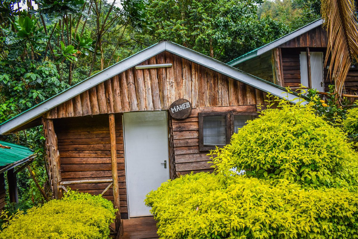 Escape the city with your crew & head to our rustic eco lodge for an unforgettable group adventure. Our lush mini-forest is the perfect spot for team-building, family bonding, or a fun getaway with friends. Book now for an experience you'll never forget! 🌳 #GroupGetaway #Travel