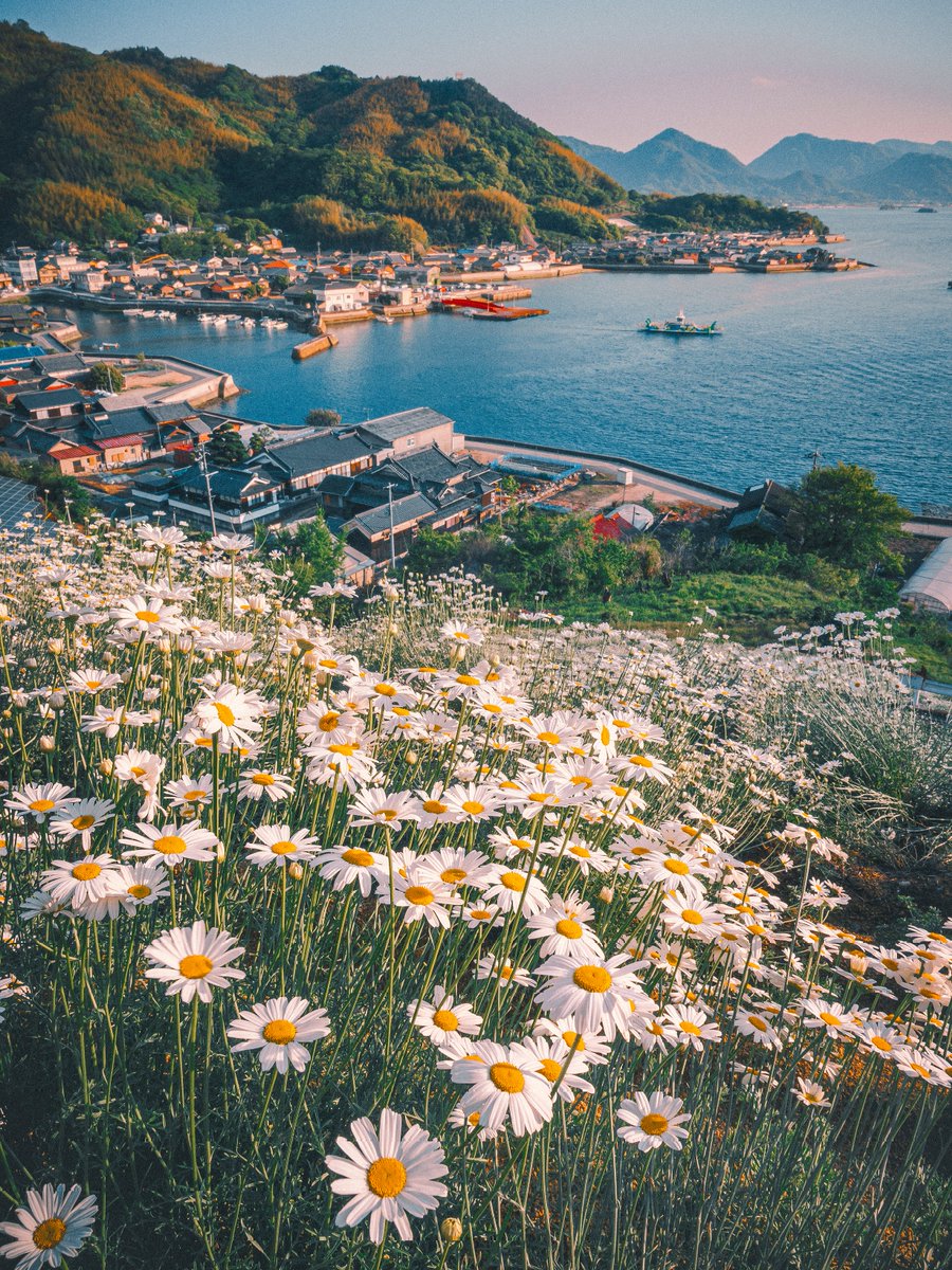 心和む風景 _ 春 花 風景 – WETE