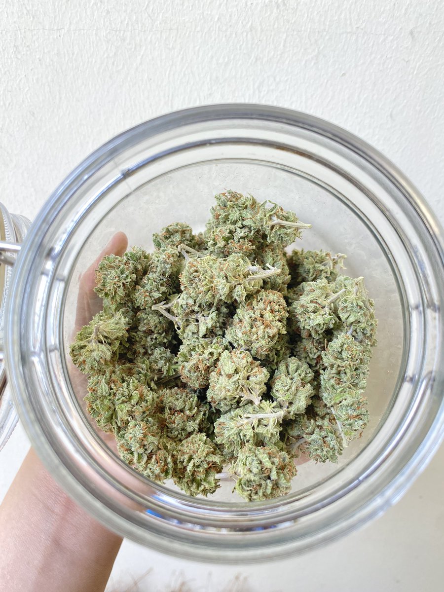 Mypeachandyouso's tweet image. Gorilla Zkittlez 
120฿/G
5G/550฿ ส่งฟรี
10G/1000฿ ส่งฟรี
นัดรับ - ส่ง - Grab 
#กัญชาog #กัญชารังสิต #กัญชาราคาถูก #กัญชาออแกนิค #กัญชา #มอกรุงเทพ #มอรังสิต #ลำลูกกา #รังสิต #รังสิตภิรมย์ #คลอง6 #พลัมคอนโด #กัญชากทม #กัญชารังสิต #กัญชาเสรี #BU #RSU #เมืองเอก #กัญชาเชียงใหม่