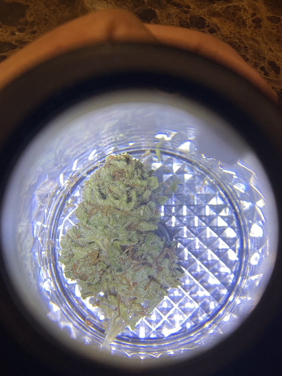 Mypeachandyouso's tweet image. Gorilla Zkittlez 
120฿/G
5G/550฿ ส่งฟรี
10G/1000฿ ส่งฟรี
นัดรับ - ส่ง - Grab 
#กัญชาog #กัญชารังสิต #กัญชาราคาถูก #กัญชาออแกนิค #กัญชา #มอกรุงเทพ #มอรังสิต #ลำลูกกา #รังสิต #รังสิตภิรมย์ #คลอง6 #พลัมคอนโด #กัญชากทม #กัญชารังสิต #กัญชาเสรี #BU #RSU #เมืองเอก #กัญชาเชียงใหม่