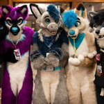 Photo by Swiftfeather (@DragonSwifty)