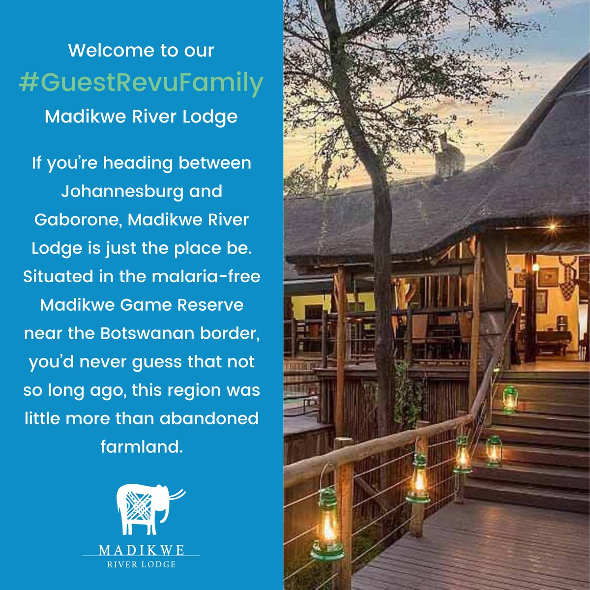 Excited to welcome @MadikweLodge to the #GuestRevuFamily! 🎉
As a team, we're dedicated to helping you gather and analyse guest feedback to improve your guest experience.

Let's work together to provide unforgettable memories for your guests 🙌
#guestrevu #madikweriverlodge