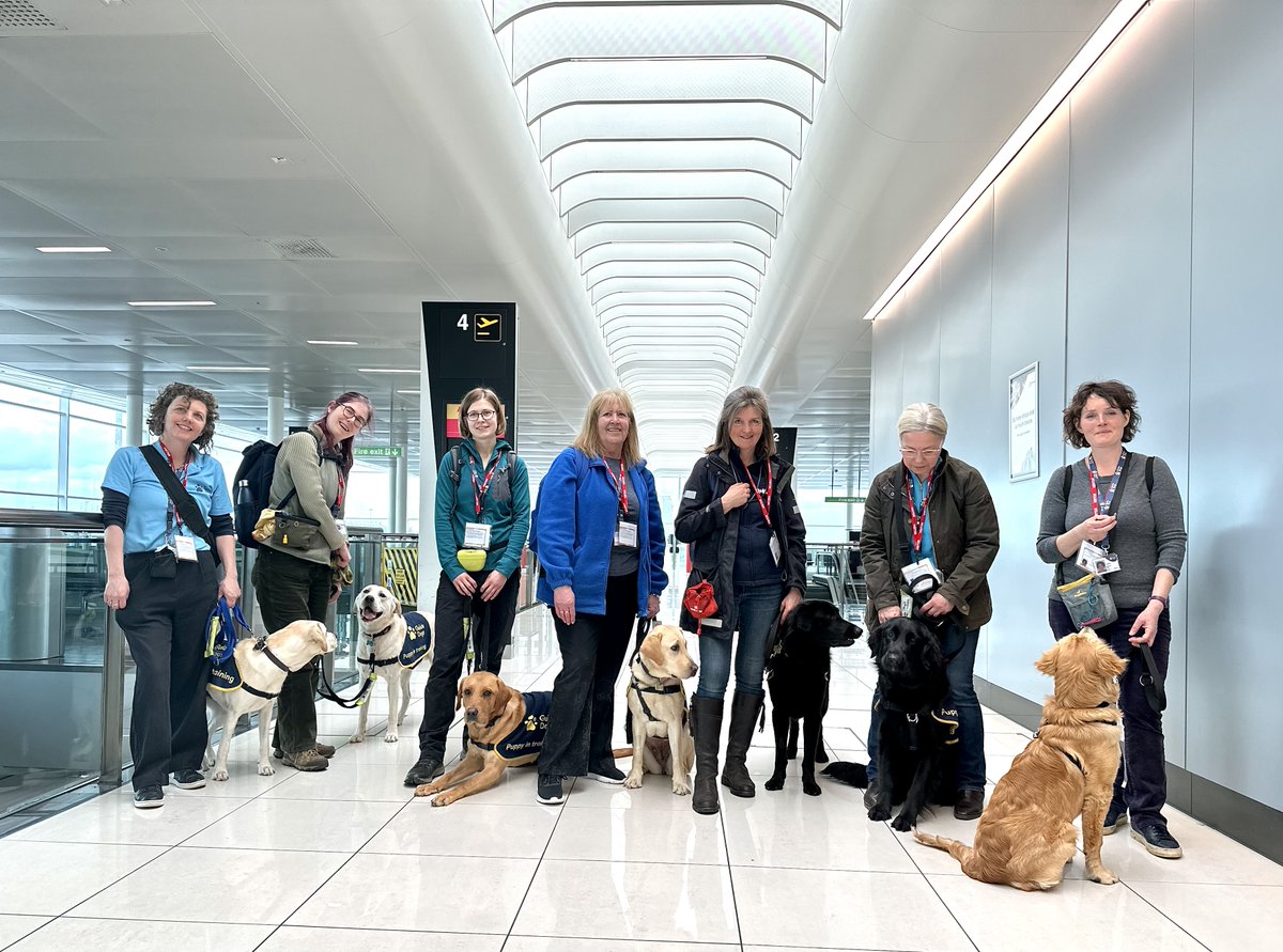 STN_Airport's tweet photo. It's #InternationalGuideDogDay, and @STN_Airport welcomed some very special 'pawsengers' this week! 🐾 

7 Guide Dog puppies em-BARK-ed on the customer journey, exposing them to the busy airport environment. ✈️

The 🐶's will soon be a companion to someone living with sight loss. https://t.co/LCrN1we07s