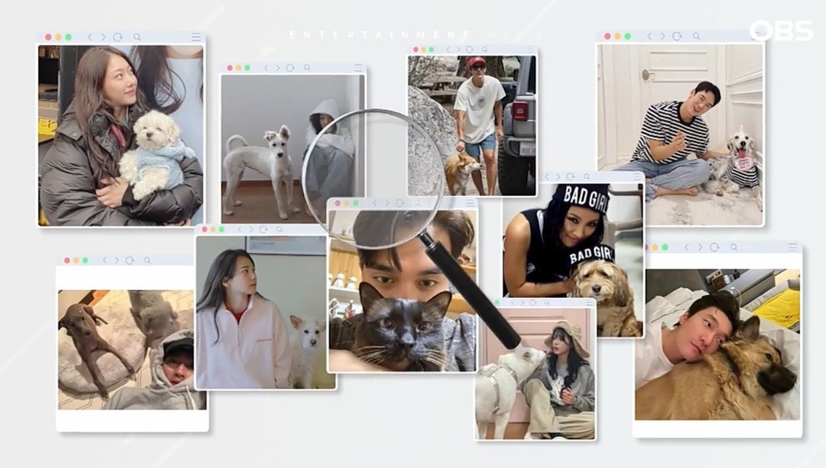 ysh_d93's tweet photo. Yoo Seung Ho has a lot of interest in abandoned animals, so he adopts 'Simba' and 'Gaeul', who were abandoned cats in the past, and is living the life of a devoted butler.

https://t.co/b5Fjh3IghR

#YooSeungHo #유승호 https://t.co/MQgkXr79XD
