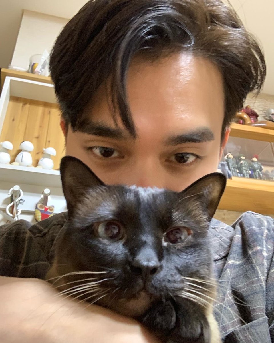 ysh_d93's tweet photo. Yoo Seung Ho has a lot of interest in abandoned animals, so he adopts 'Simba' and 'Gaeul', who were abandoned cats in the past, and is living the life of a devoted butler.

https://t.co/b5Fjh3IghR

#YooSeungHo #유승호 https://t.co/MQgkXr79XD
