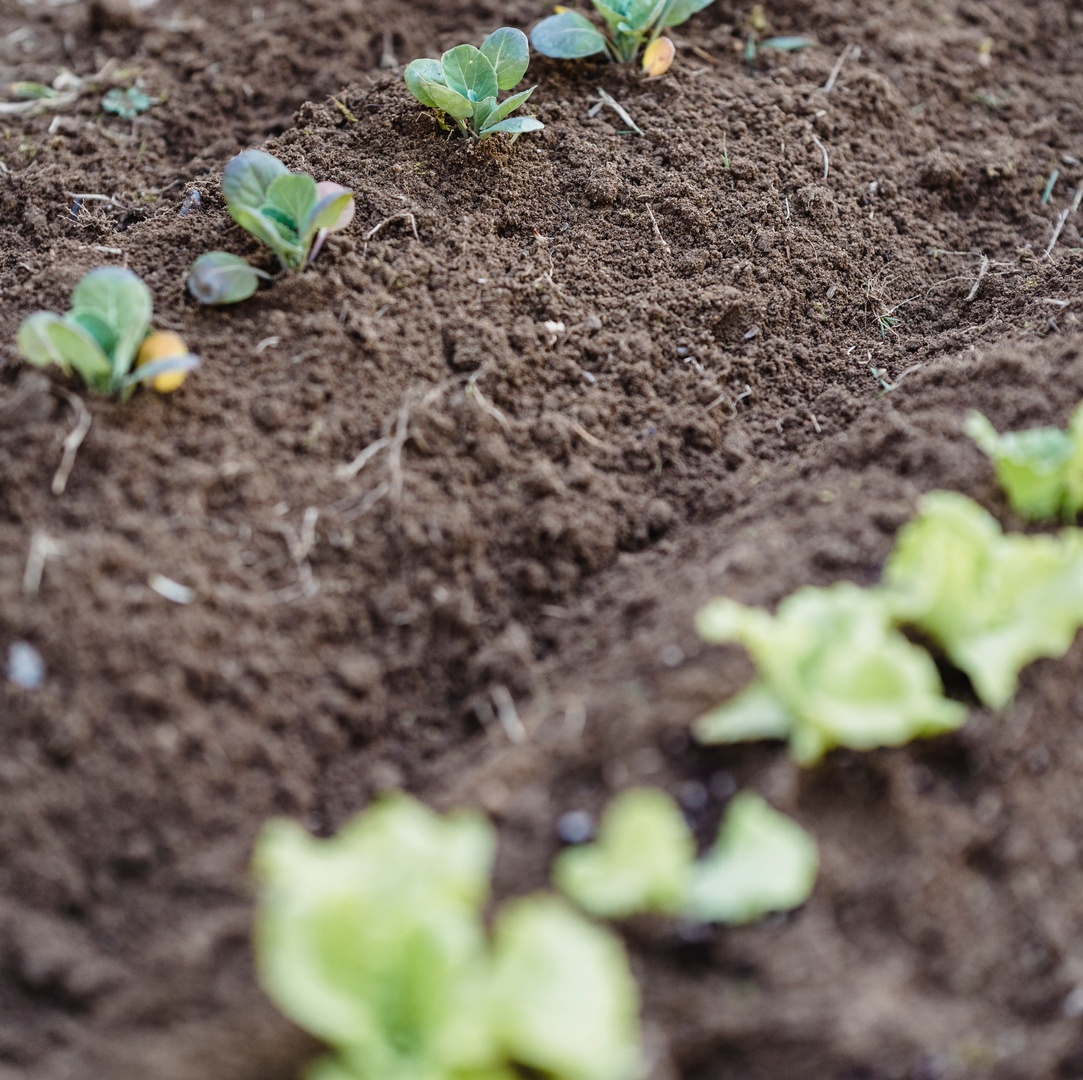 willstabiliti's tweet photo. By partnering with the likes of #RegenerationEarth and farmers around the world, we walk the talk in terms of #Sustainability.

Real, traceable carbon offsets. Guaranteed additionality. 100% accountability. 

Start giving back today: https://t.co/bkHQ6JlUBT  🌿 https://t.co/ZNkE6ithDa