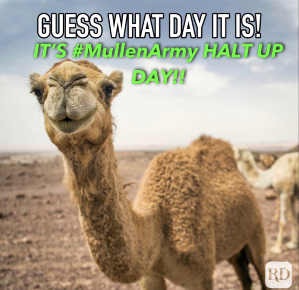 Coachellenafido's tweet image. 04/26/2023 watchlist.

$ABNB 🏠 
28 Apr 23 $117 Call 📈 ABOVE $116.40

$ABT ⛑️
28 Apr 23 $108 Put 📉 BELOW $108.15

Outside Bar: (1D)

$AAPL 🍎 
Calls above $166.31! 📈
Puts below $163.73! 📉

Inside Bar: (1D)

$TSLA 🚗 
Calls above $165.65! 📈
Puts below $158.61! 📉
 #MullenArmy