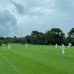 Photo by National Backyard Cricket (@NationalBYC)