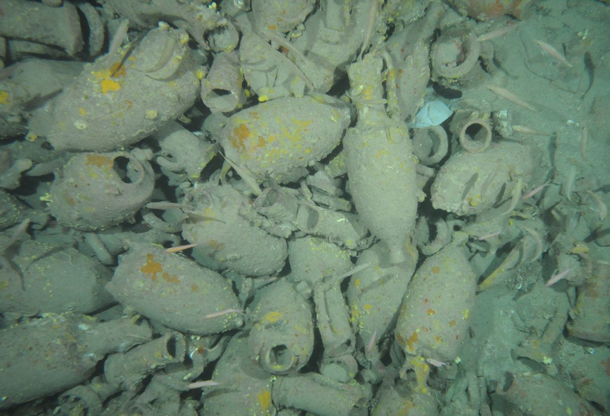 We are excited to announce the launch of the Unpath’d Waters portal unpathd.ads.ac.uk, which allows users to, for the first time, search a catalogue of marine data from across the UK. Visit this link to find out more archaeologydataservice.ac.uk/news-events/la… #TaNC
<a href="/nat_collection/">Towards a National Collection</a> <a href="/ahrcpress/">Arts and Humanities Research Council</a>