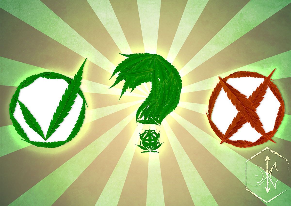 Marihuana…¿Sí o No? blgs.co/I4u9En