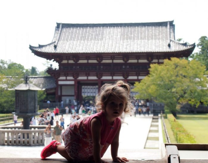 Viajandoconchupetes tweet media