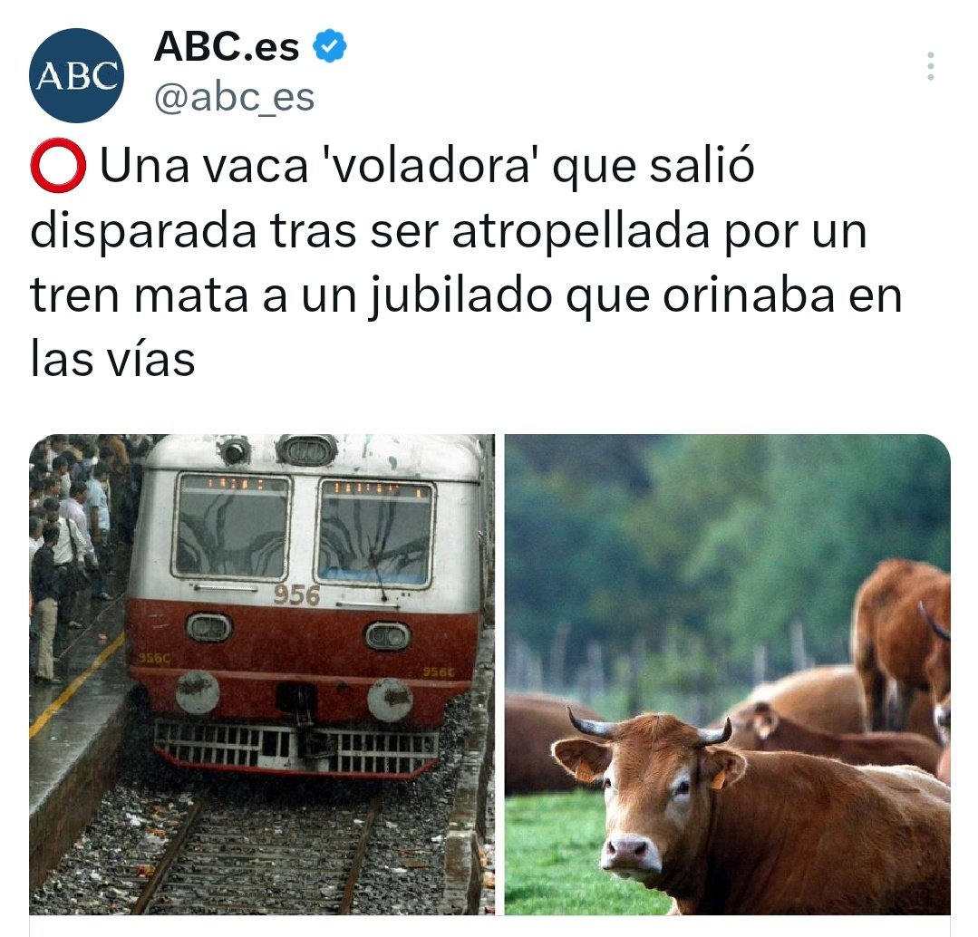 Runnercervecero's tweet photo. -Johnson, homicidios, ¿qué tenemos?
-Mejor siéntate. https://t.co/QaRQPwUJAw