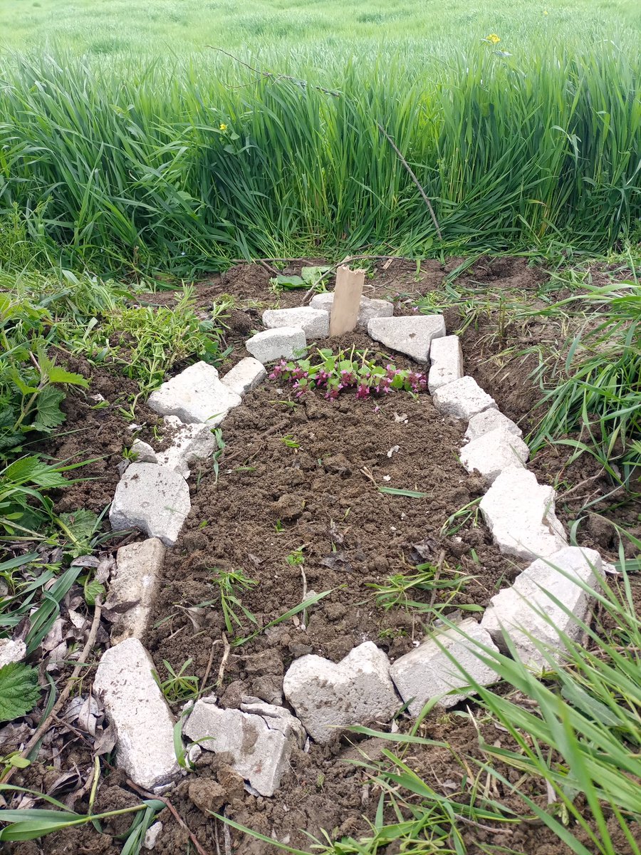 Merrrdoo's tweet photo. Görüşürüz miniğim https://t.co/nVcIIfyZwy