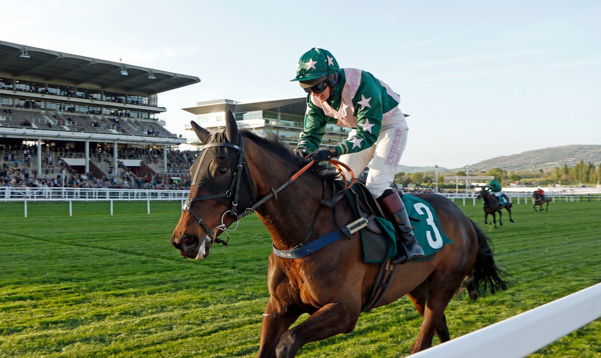 CheltenhamRaces tweet picture