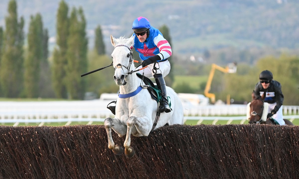 CheltenhamRaces tweet picture