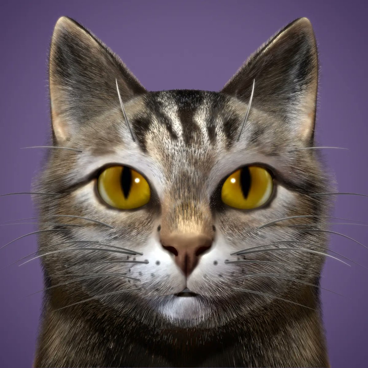 ClothCatStudio's tweet photo. It's the last post for our Studio Art Challenge, Cloth Pets! π» β¨ πΆ π π π¨
We're blown away by the talent and creativity of all the artists who participated, thanks for sharing your work with us!
Looking forward to next time... π
#ClothCat #ClothPets #WFH #Cat_Art https://t.co/Jzprway63H