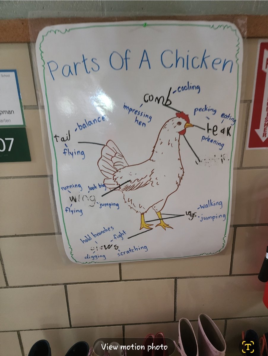 MAEOE  celebrated with Watershed Public Charter School during their Green Ribbons School Celebration this past Monday. Watershed is a Green School under MAEOE and an environmental arts school in Baltimore County. View these incredible snaps and see how students learn outdoors!